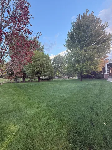 View of green lawn