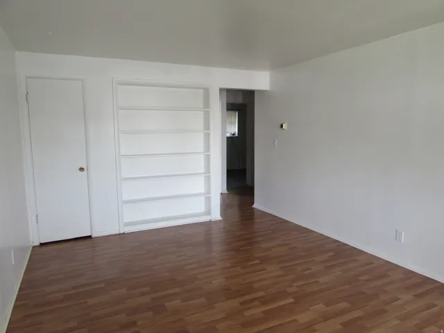 Spare room featuring built in shelves and dark wood-style flooring