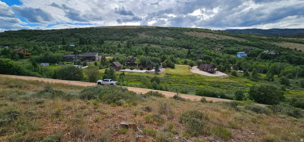 Expansive mountain landscape featuring varied terrain and numerous mature trees