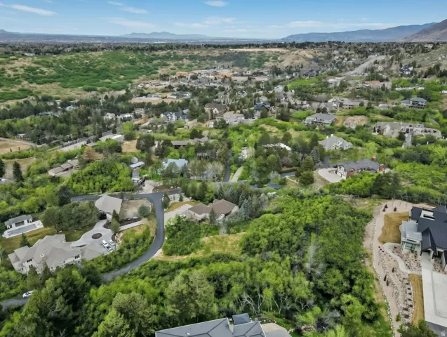Aerial perspective of suburban area featuring mountains