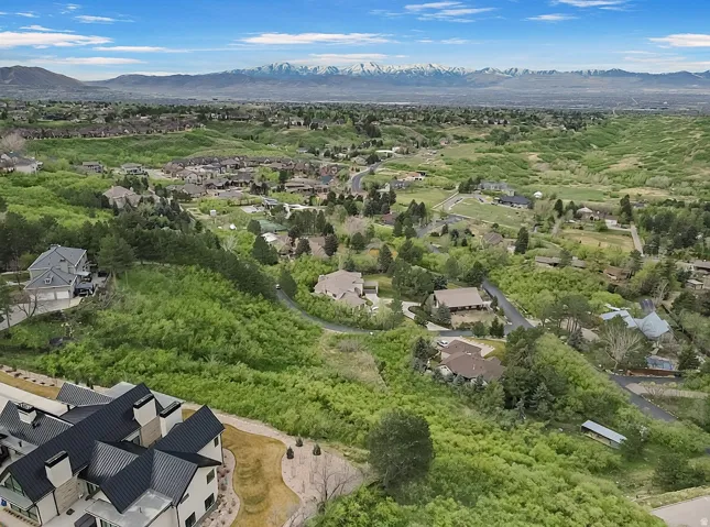 Aerial perspective of suburban area with mountains
