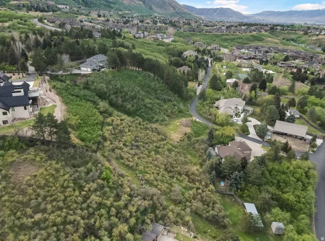 Aerial perspective of suburban area featuring a mountainous background