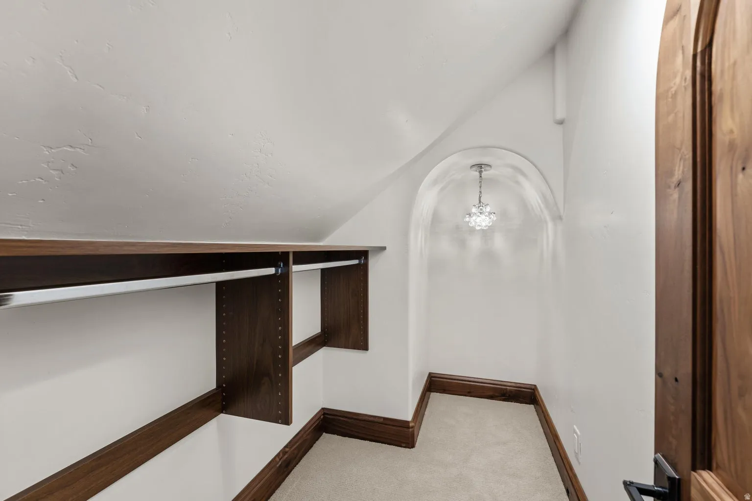 Walk in closet featuring vaulted ceiling, light carpet, and hanging lights
