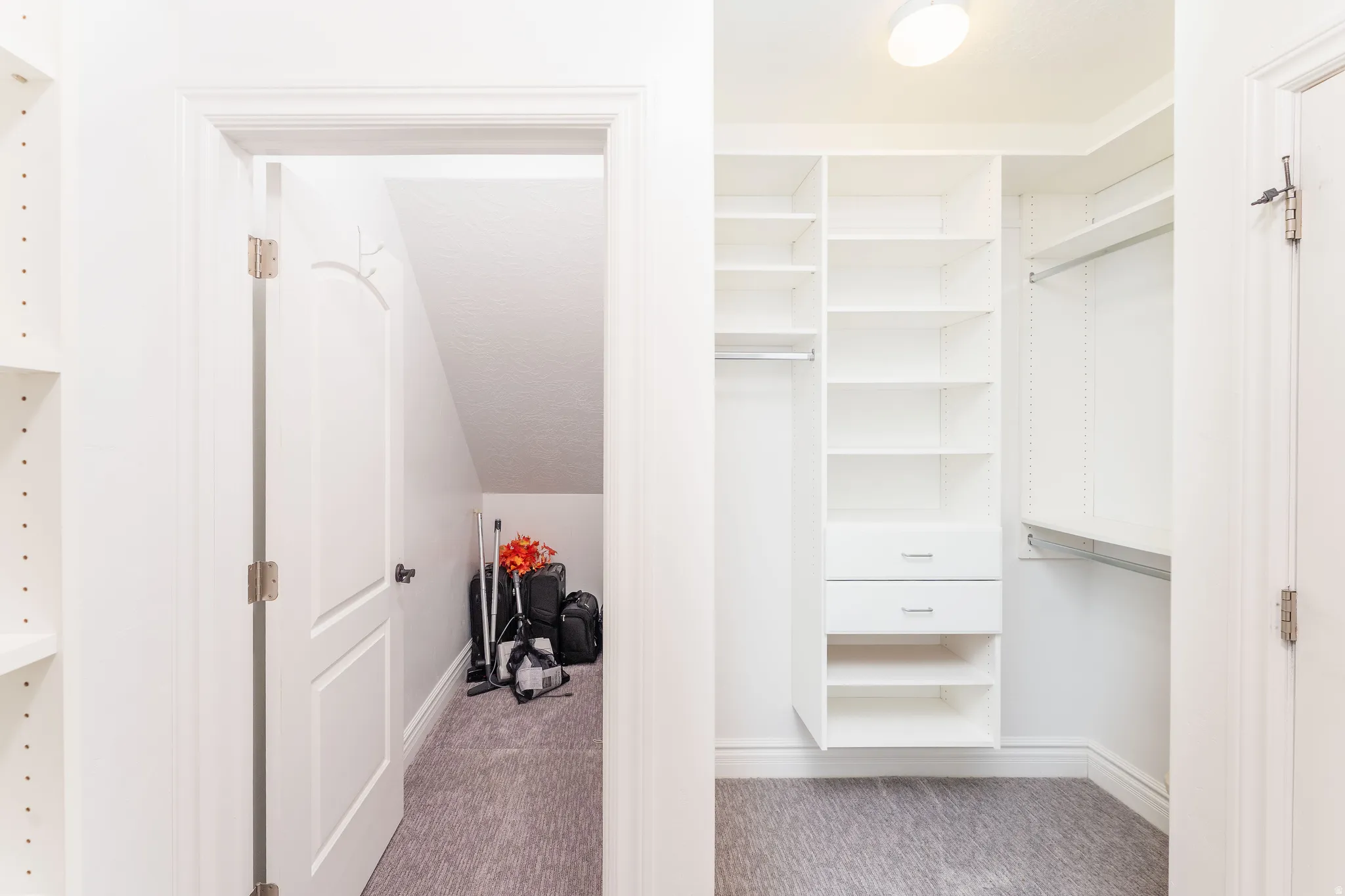 Walk in closet featuring light colored carpet