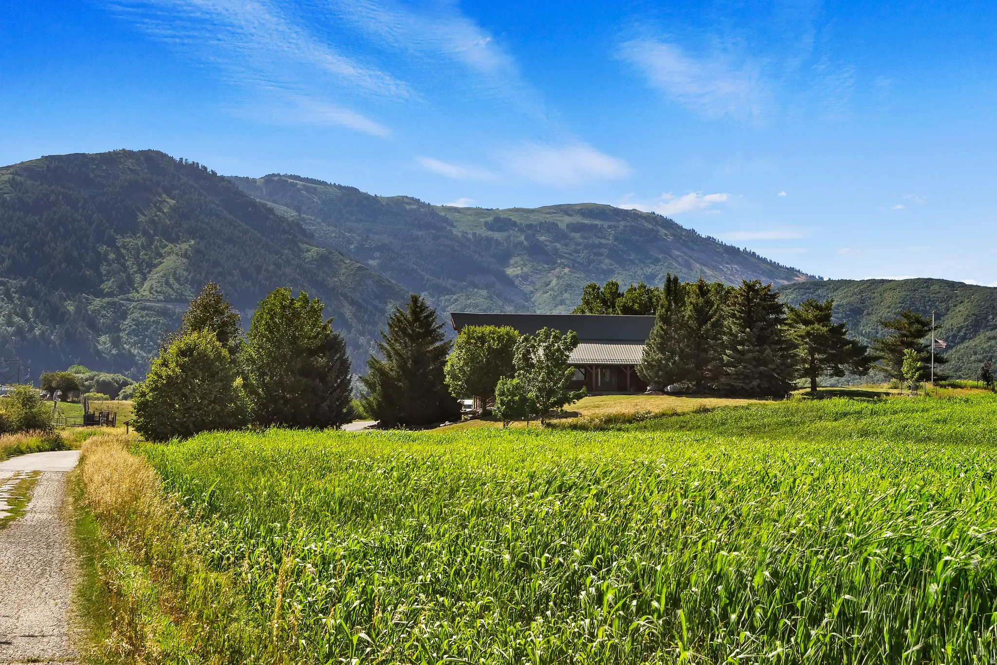 Mountain view with rural landscape