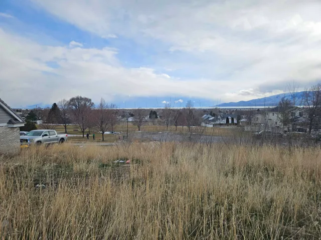 Expansive undeveloped land featuring mature dry grasses in the foreground