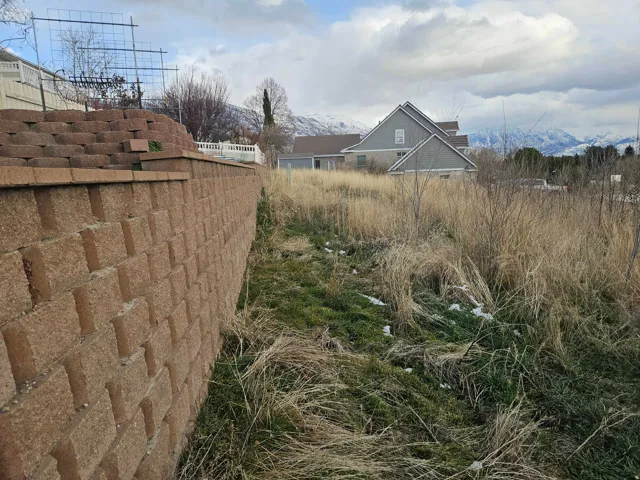 View of retaining wall in the back of property.