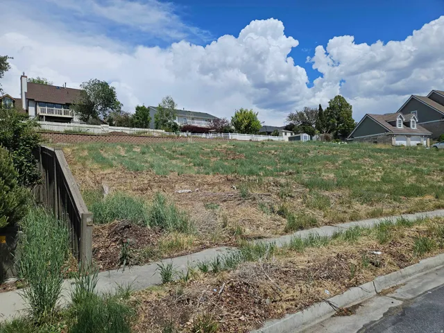 Expansive land parcel featuring existing vegetation and a concrete sidewalk