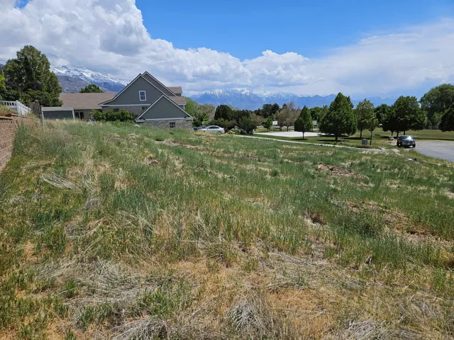 Expansive undeveloped land parcel featuring natural grass, a visible retaining wall, and mature perimeter trees