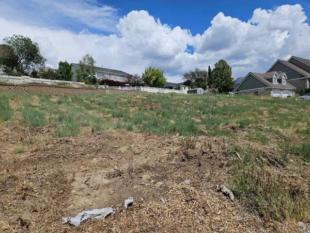 Expansive graded lot with natural landscaping, offering ample space for development