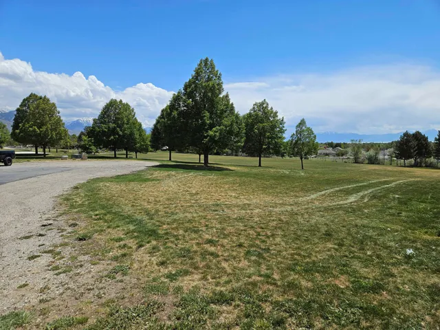 Expansive green space featuring mature trees and a gravel pathway