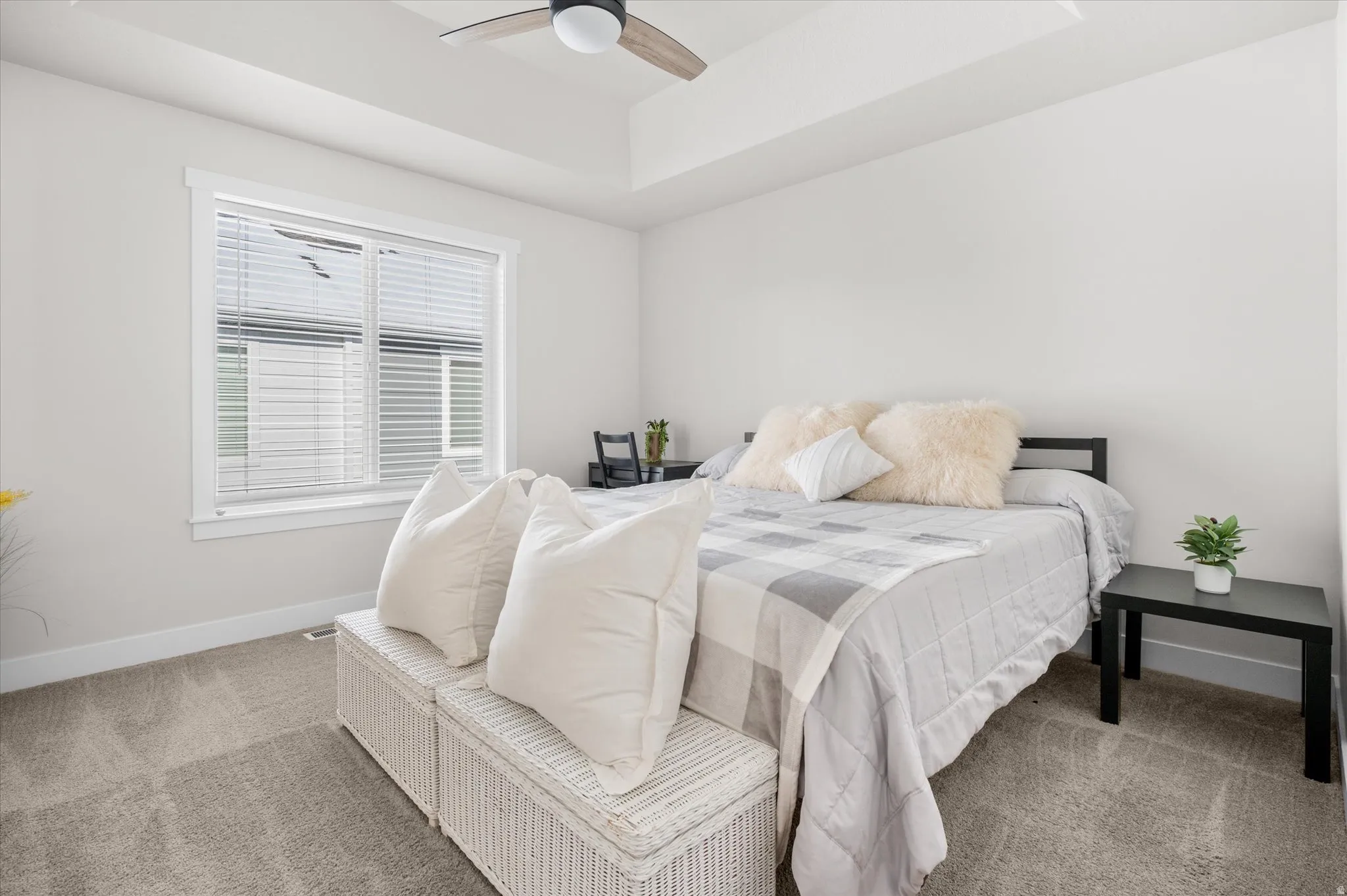 Bedroom featuring a raised ceiling, carpet flooring, and a ceiling fan