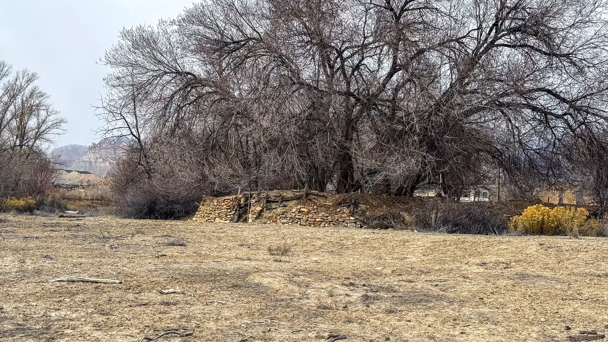 South portion of property