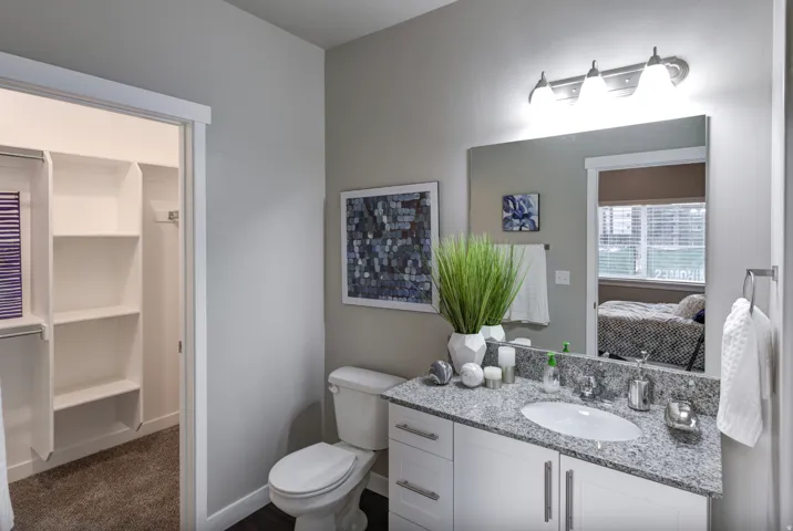 Full bathroom with vanity and ensuite bath Example
