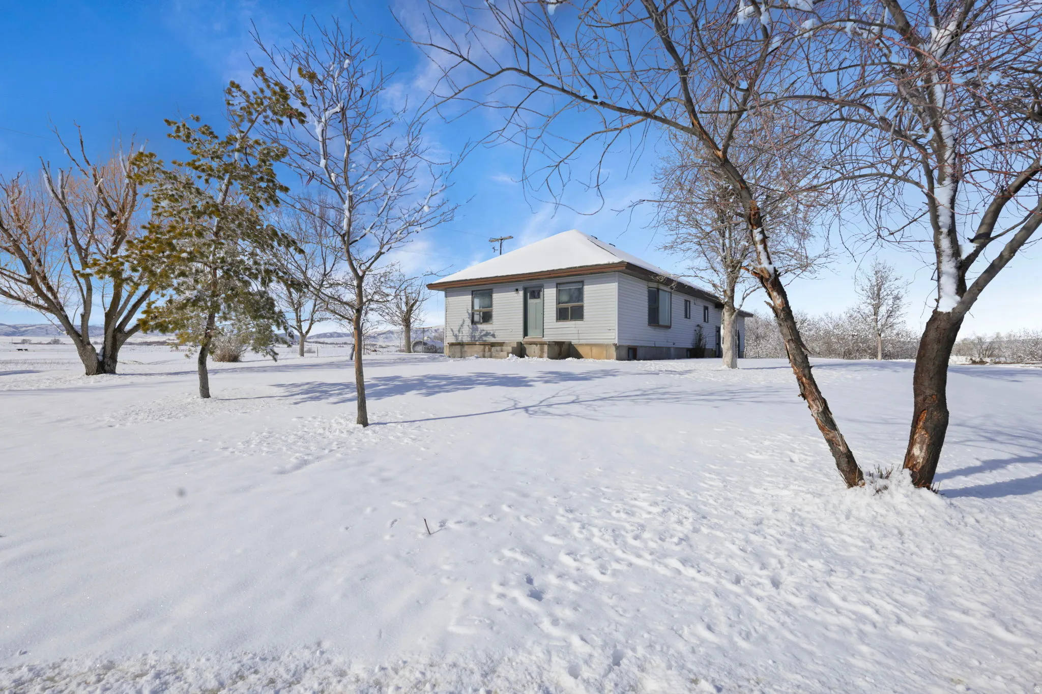 View of snow covered house