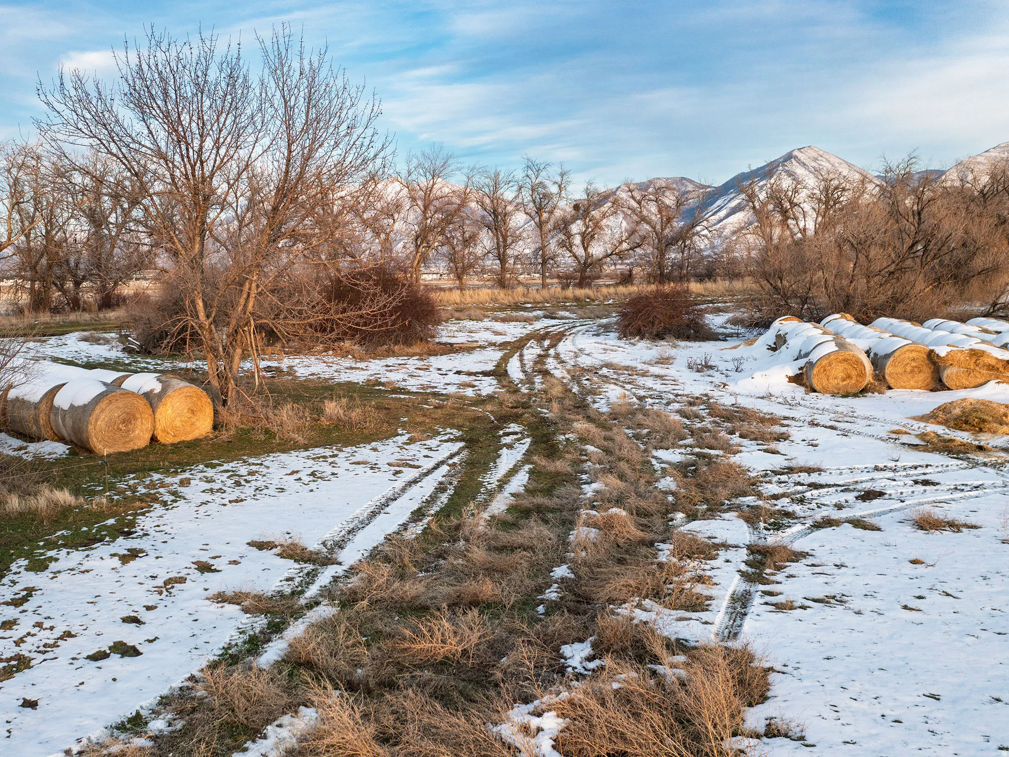 Yard layered in snow with a mountain view