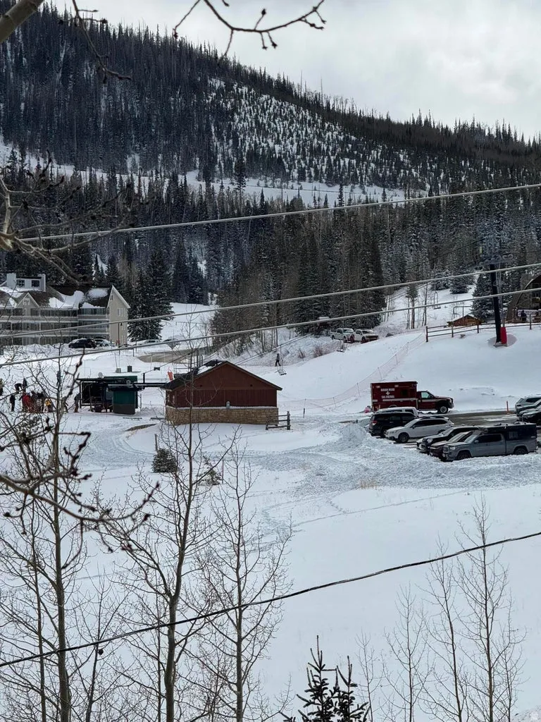 Yard layered in snow featuring a wooded view and a mountain view