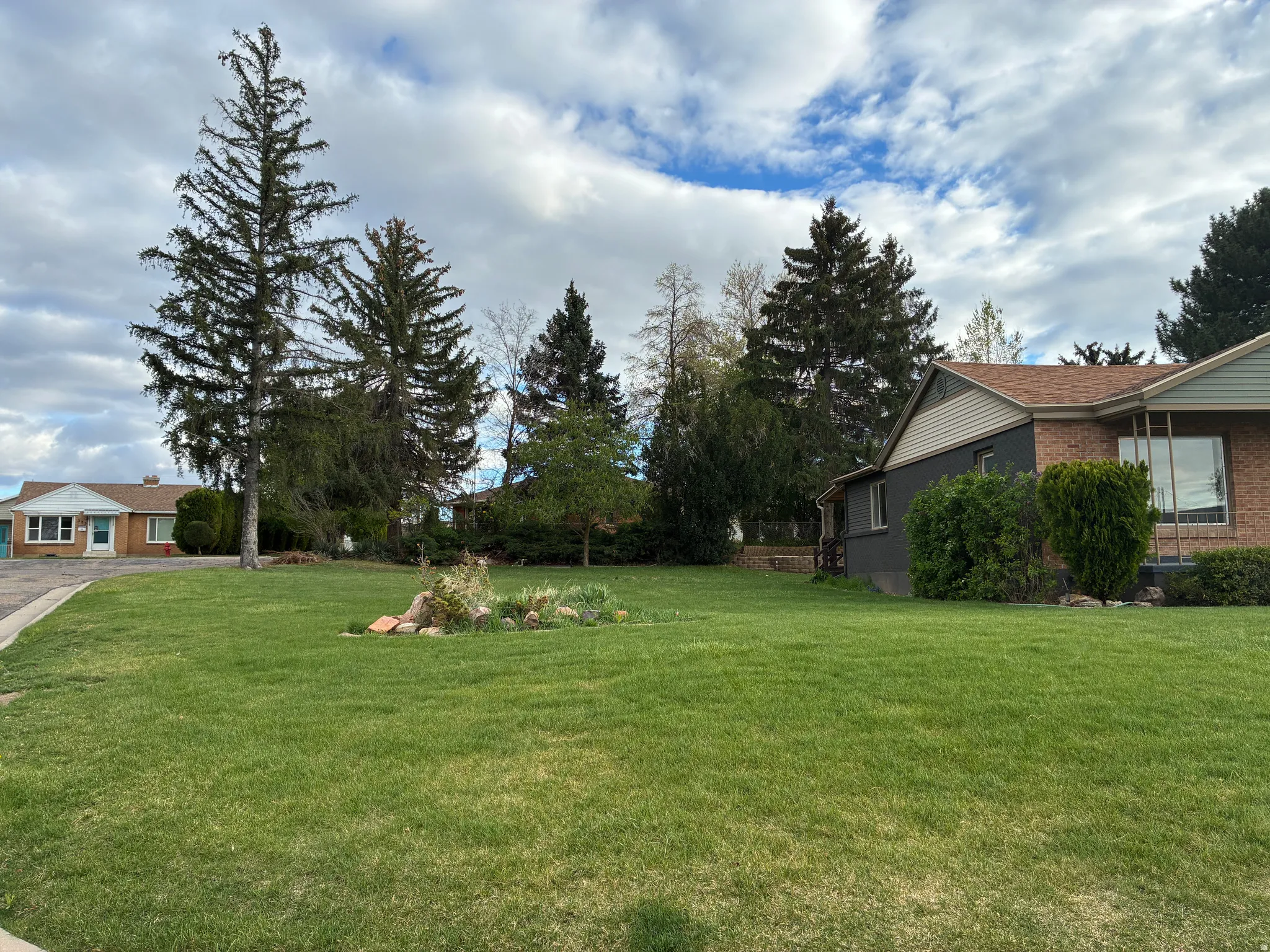 The side yard.
