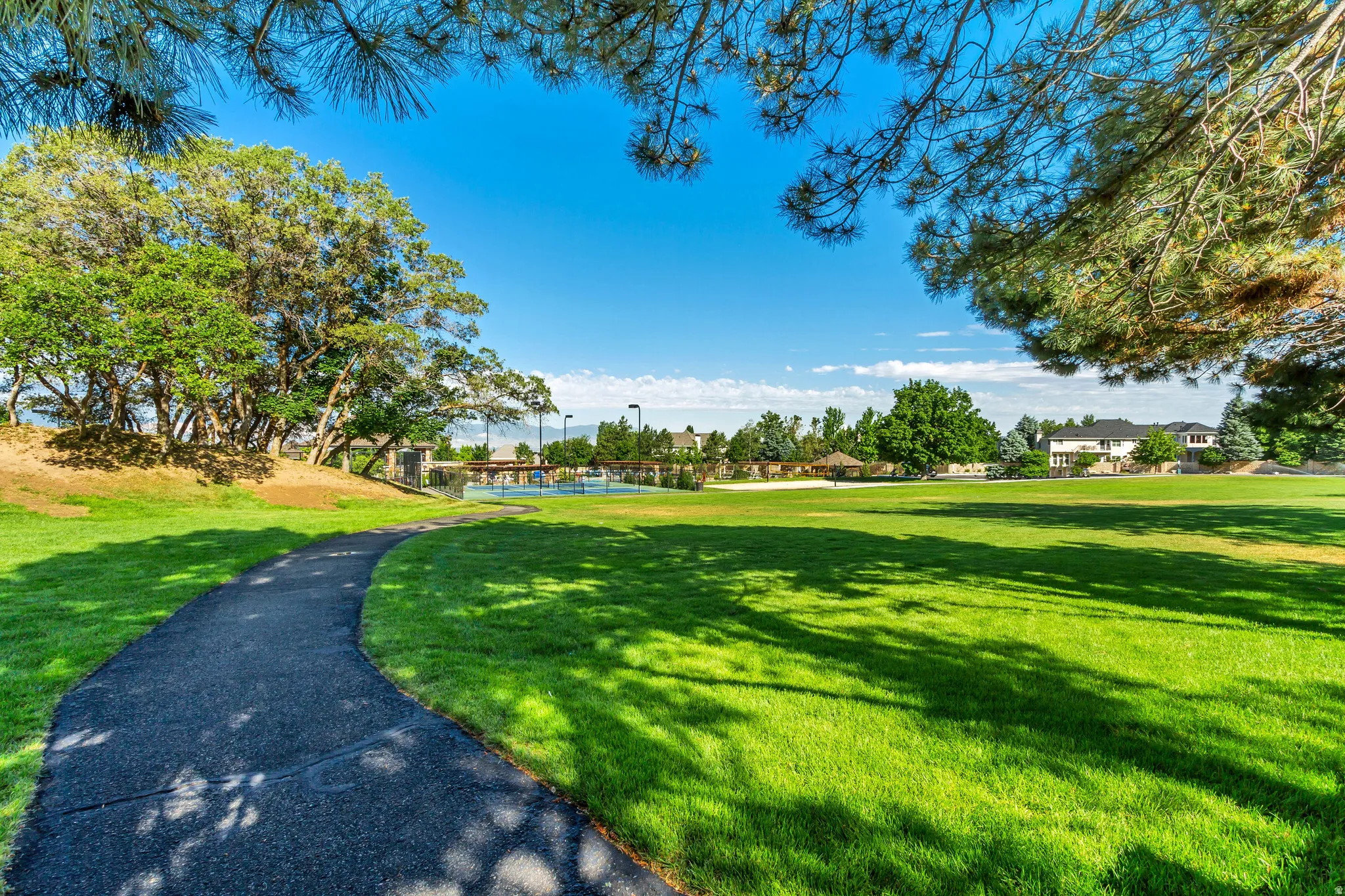 Surrounding community