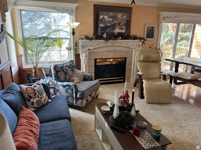 Living area featuring a fireplace, carpet flooring, and ornamental molding