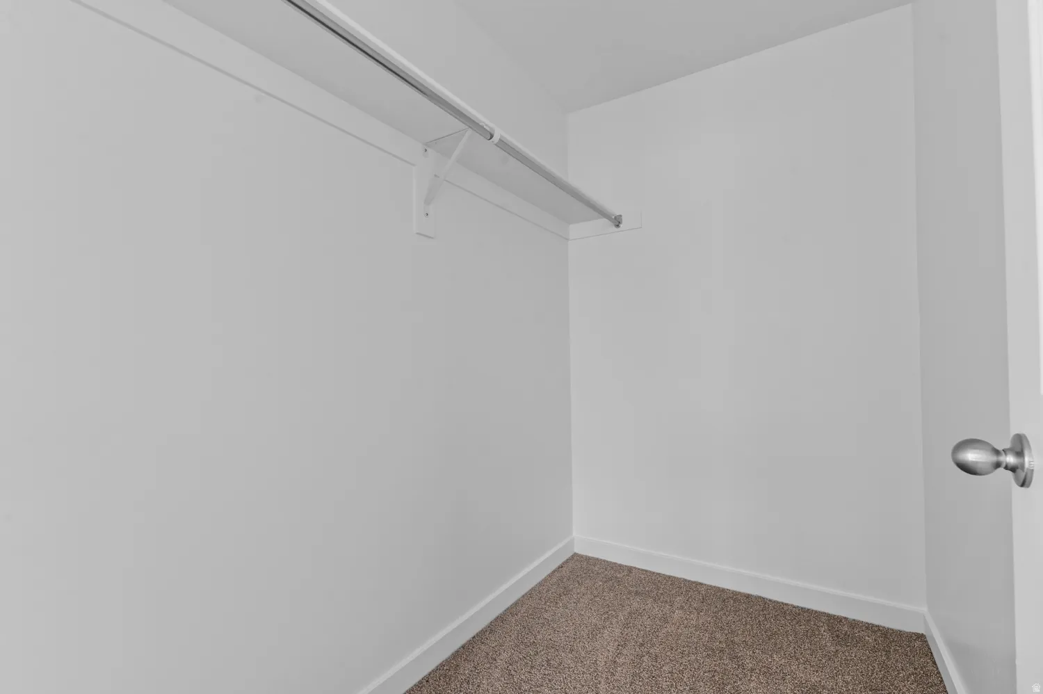 Walk in closet featuring carpet floors