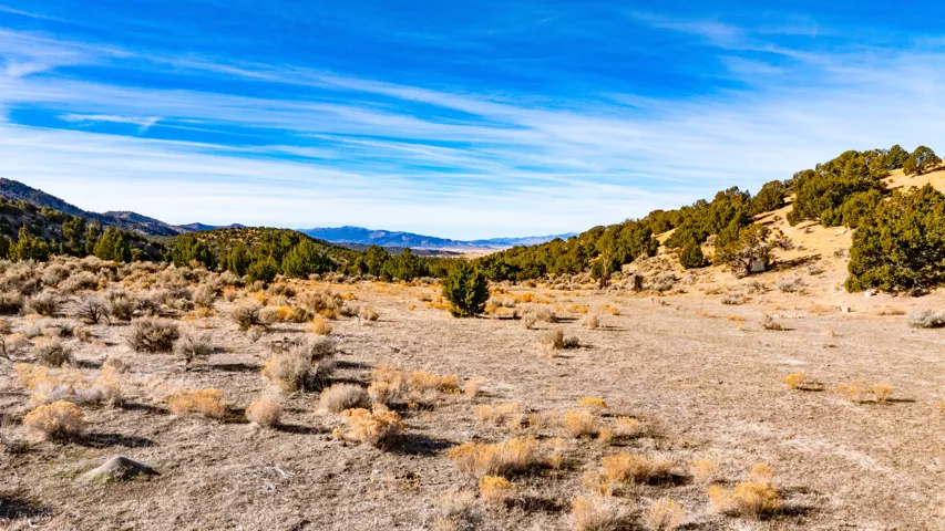 View of mountain backdrop with a desert landscape