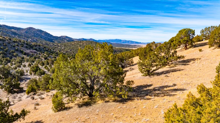 View of mountain background