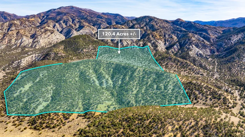 Map / location with property boundaries highlighted