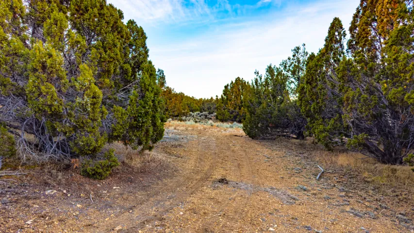 View of nature
