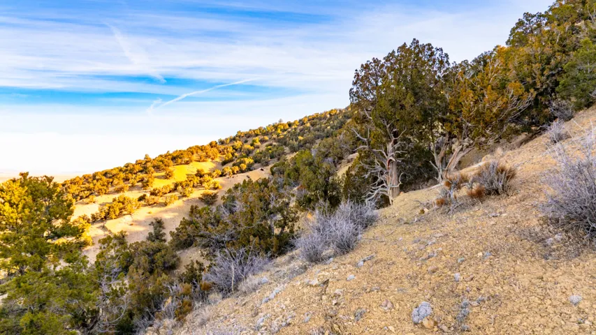 View of undeveloped land