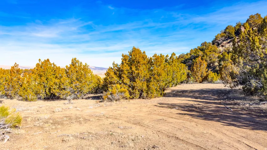 View of local wilderness featuring rural landscape