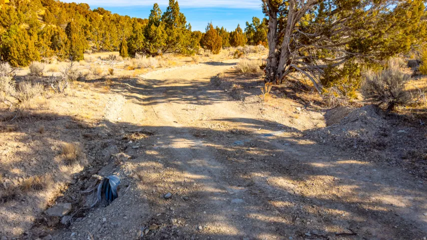 View of dirt / gravel road