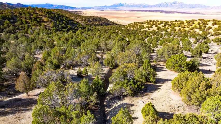Drone / aerial view of a mountainous background