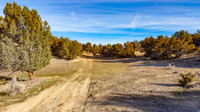 View of dirt / gravel road with a rural view