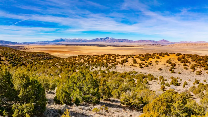 View of mountain background with a desert landscape