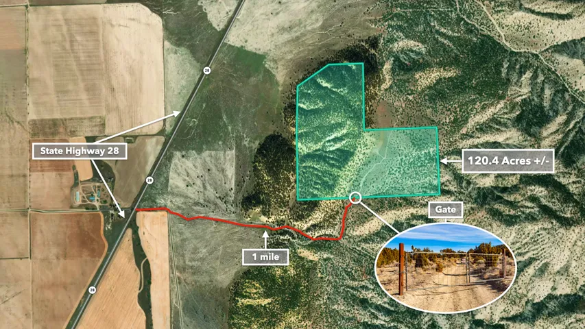 Map / location featuring property boundaries highlighted