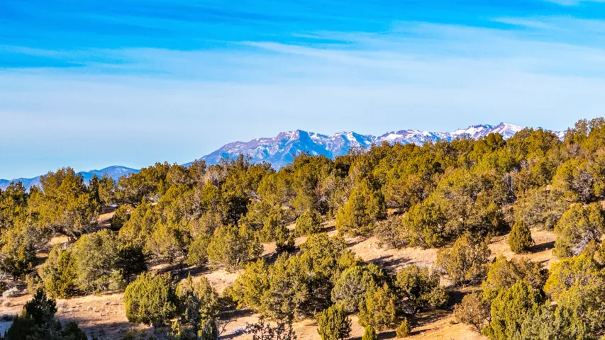 View of mountain background