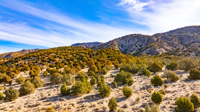 View of mountain background