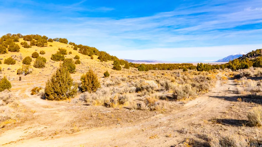 Mountain view with a desert landscape and rural landscape