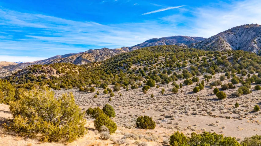 View of mountain backdrop featuring rural landscape and a desert landscape