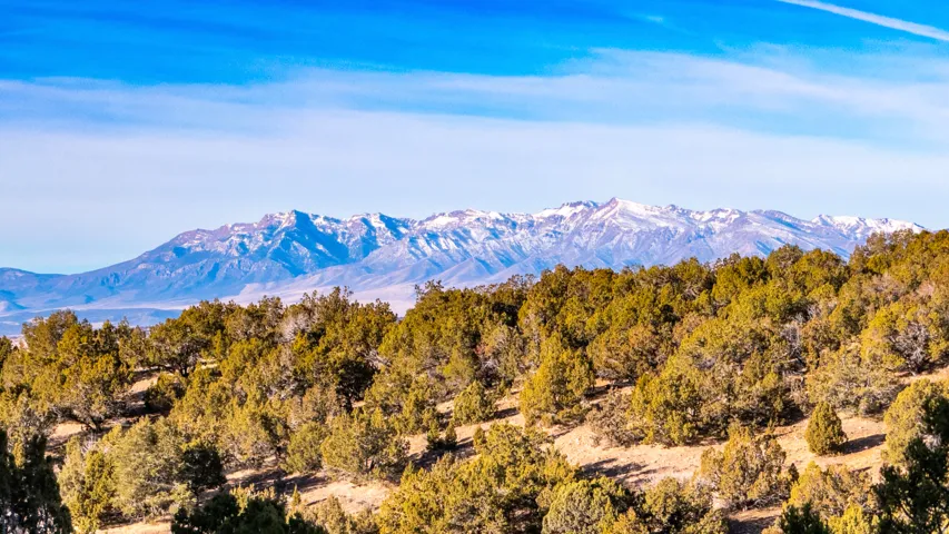 Mountain view featuring a heavily wooded area
