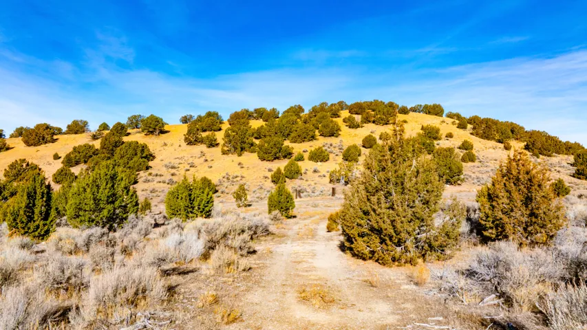 Mountain view with rural landscape