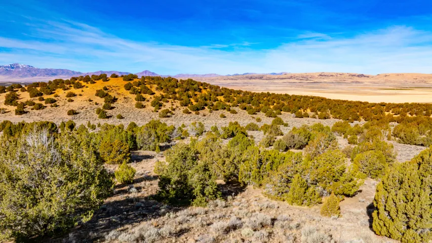 View of mountain background with a desert landscape