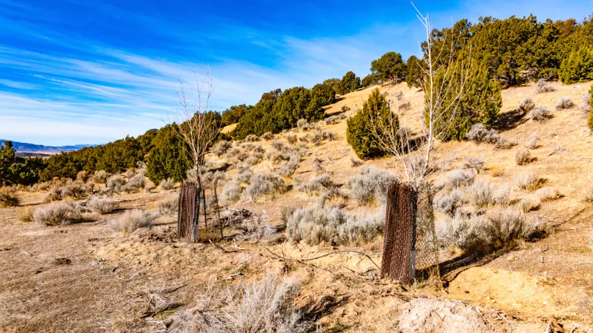 View of mountain backdrop featuring a desert landscape