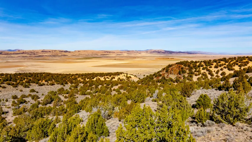 View of mountain backdrop with a desert landscape