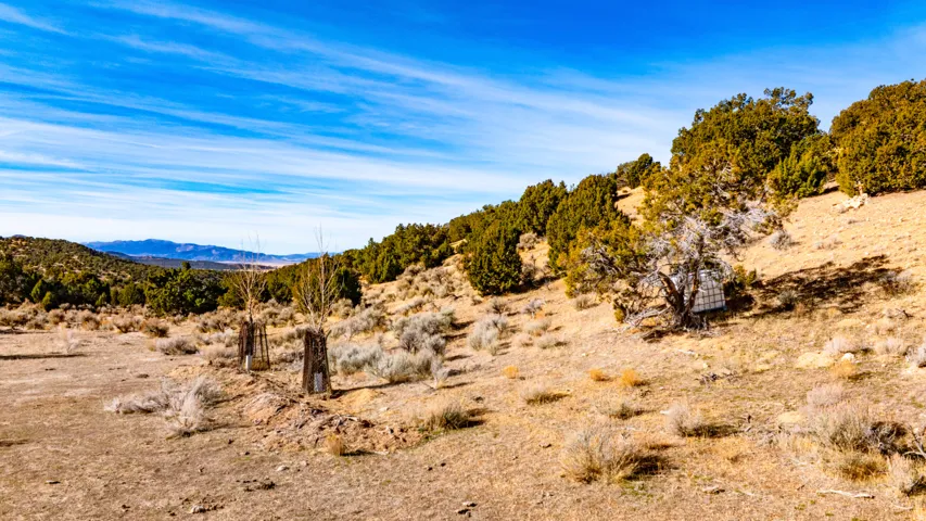 View of mountain background