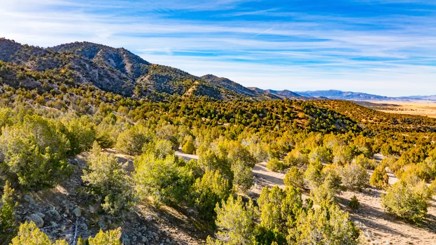 View of mountain backdrop
