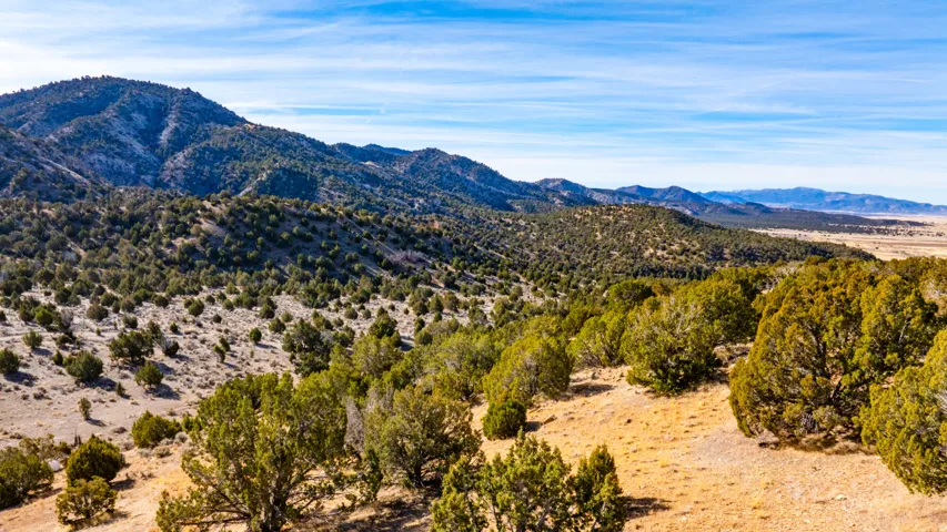 View of mountain background
