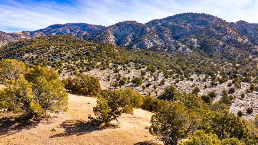 View of mountain background