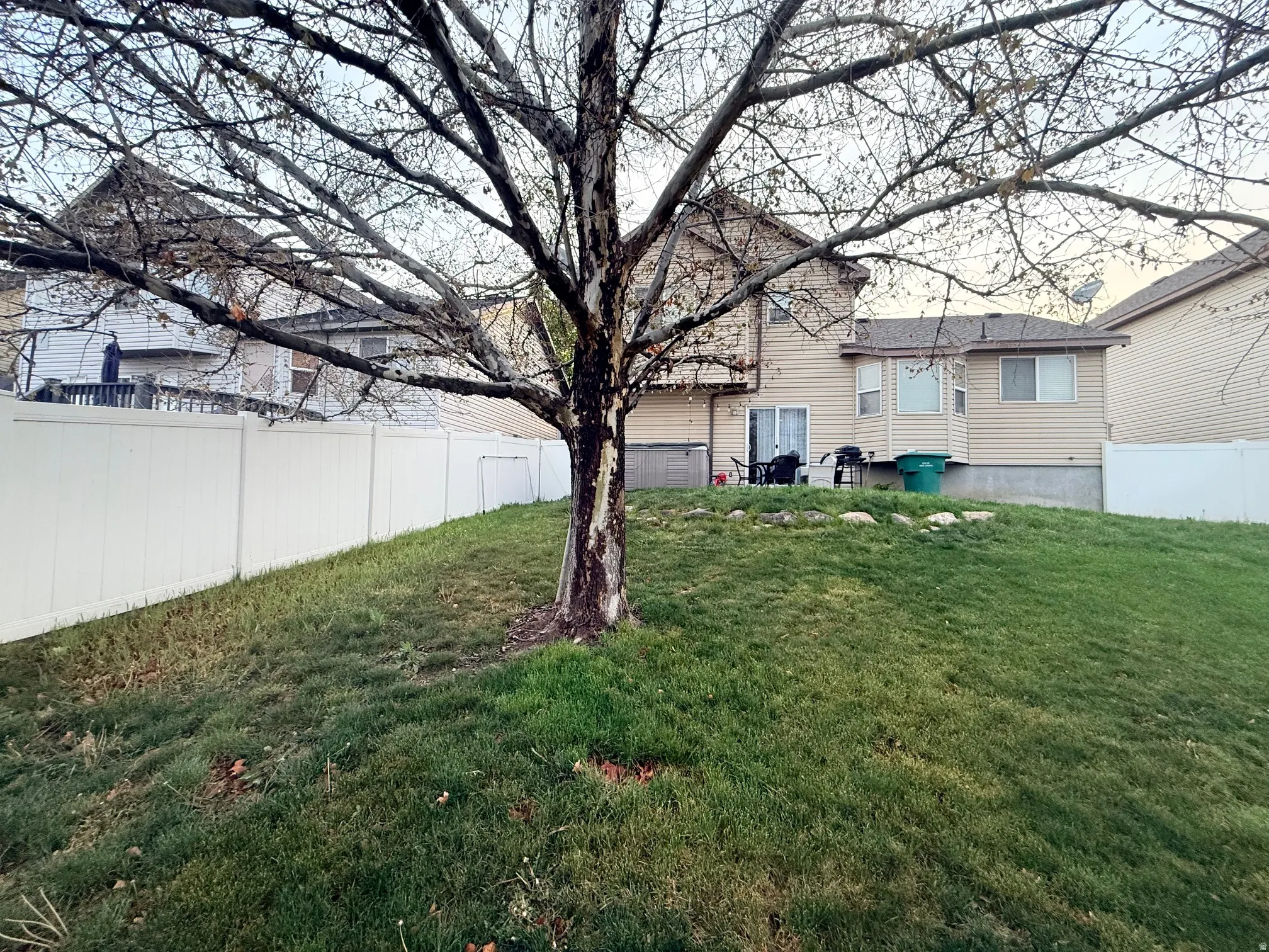 View of fenced backyard